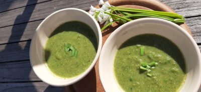 Nettle soup